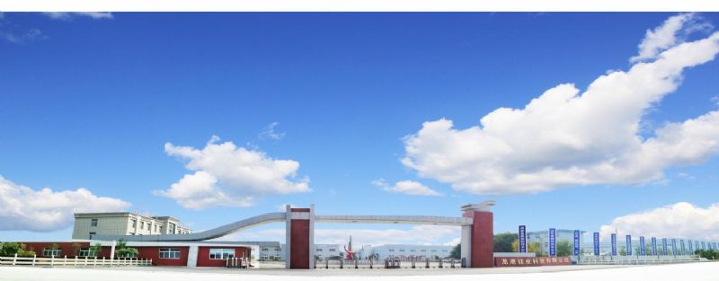 回首過(guò)去，不忘初心；展望未來(lái)，砥礪前行丨2019，龍港再出發(fā)！
