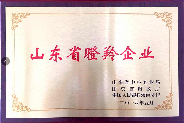 回首過(guò)去，不忘初心；展望未來(lái)，砥礪前行丨2019，龍港再出發(fā)！