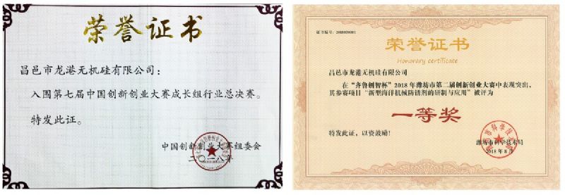 回首過(guò)去，不忘初心；展望未來(lái)，砥礪前行丨2019，龍港再出發(fā)！