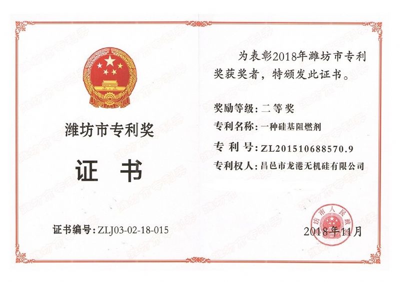 回首過(guò)去，不忘初心；展望未來(lái)，砥礪前行丨2019，龍港再出發(fā)！
